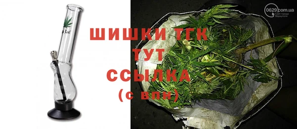 ПСИЛОЦИБИНОВЫЕ ГРИБЫ Липки