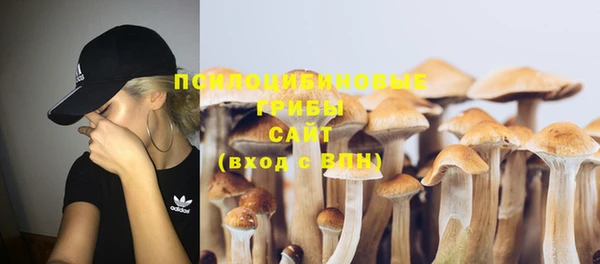 ПСИЛОЦИБИНОВЫЕ ГРИБЫ Липки