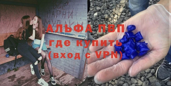 ПСИЛОЦИБИНОВЫЕ ГРИБЫ Липки