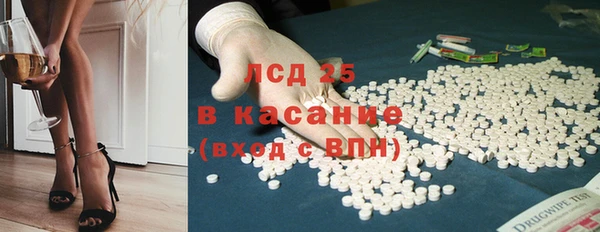 ПСИЛОЦИБИНОВЫЕ ГРИБЫ Липки