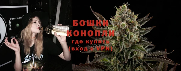 ПСИЛОЦИБИНОВЫЕ ГРИБЫ Липки