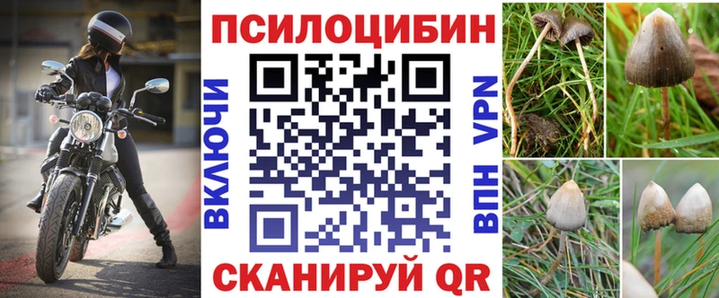 мориарти клад  где найти   Малгобек  Галлюциногенные грибы мухоморы 